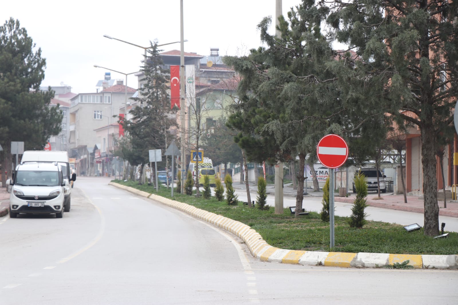 KAVAK’TA SESSİZ YAŞAM
